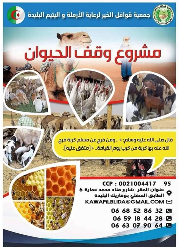 وقف الحيوان 1